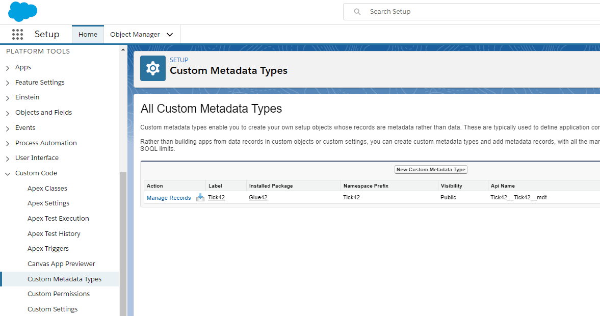 Custom Metadata Types